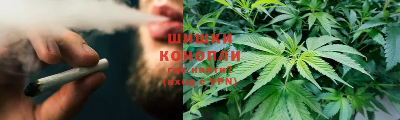 магазин  наркотиков  Шадринск  МАРИХУАНА SATIVA & INDICA 